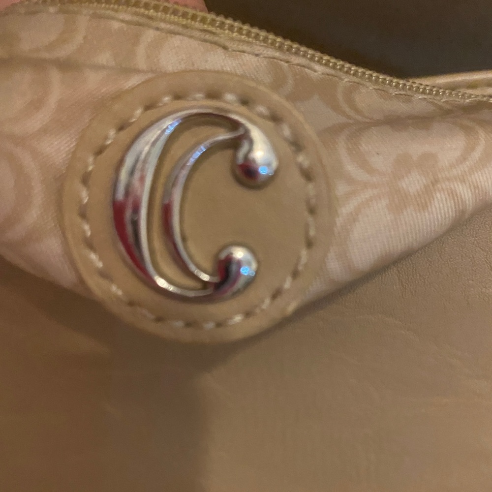 Charming Charlie Purse